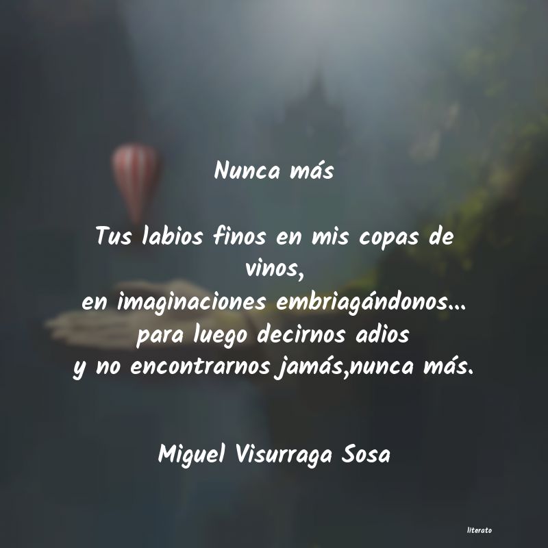 frases de Miguel Visurraga Sosa