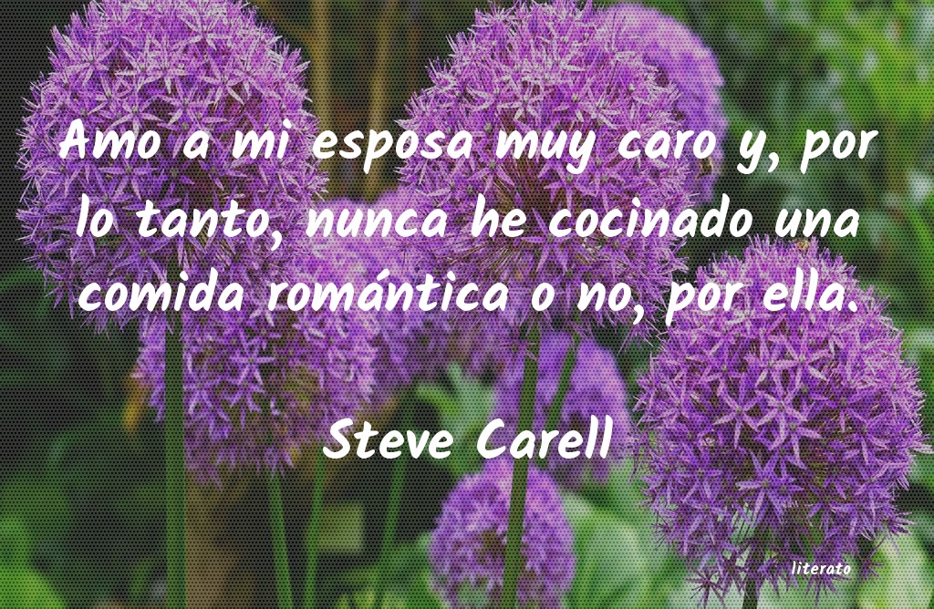 Frases de Steve Carell