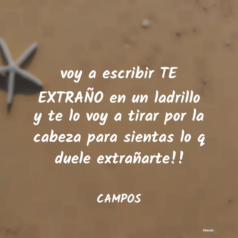 frases de CAMPOS