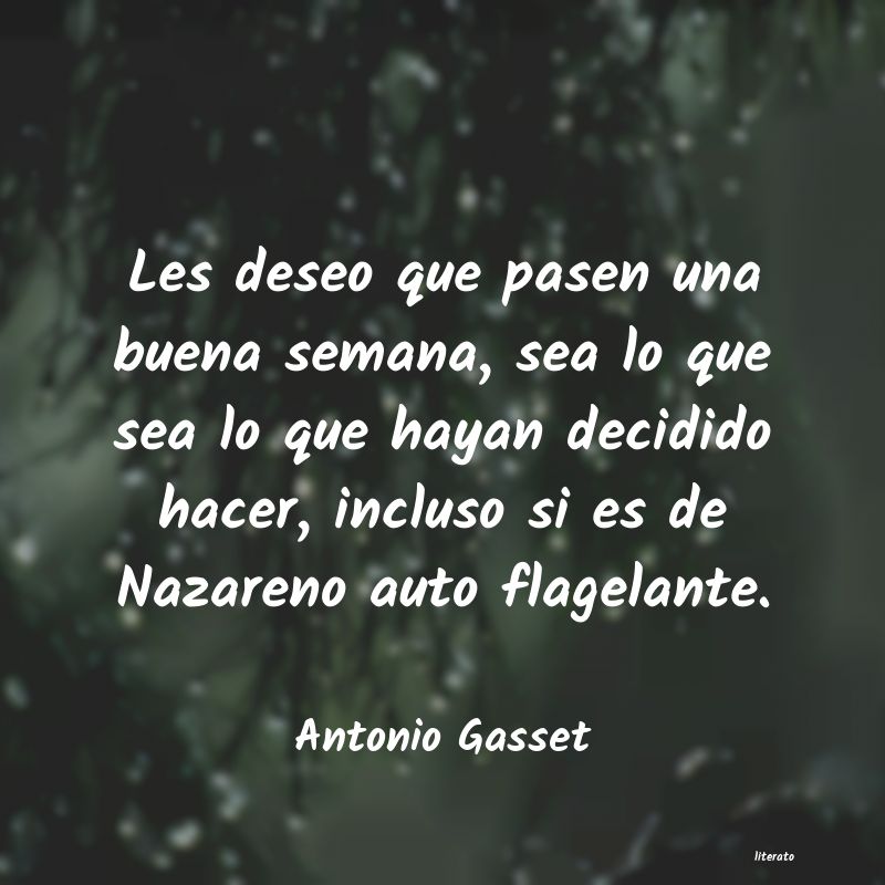 Frases de Antonio Gasset