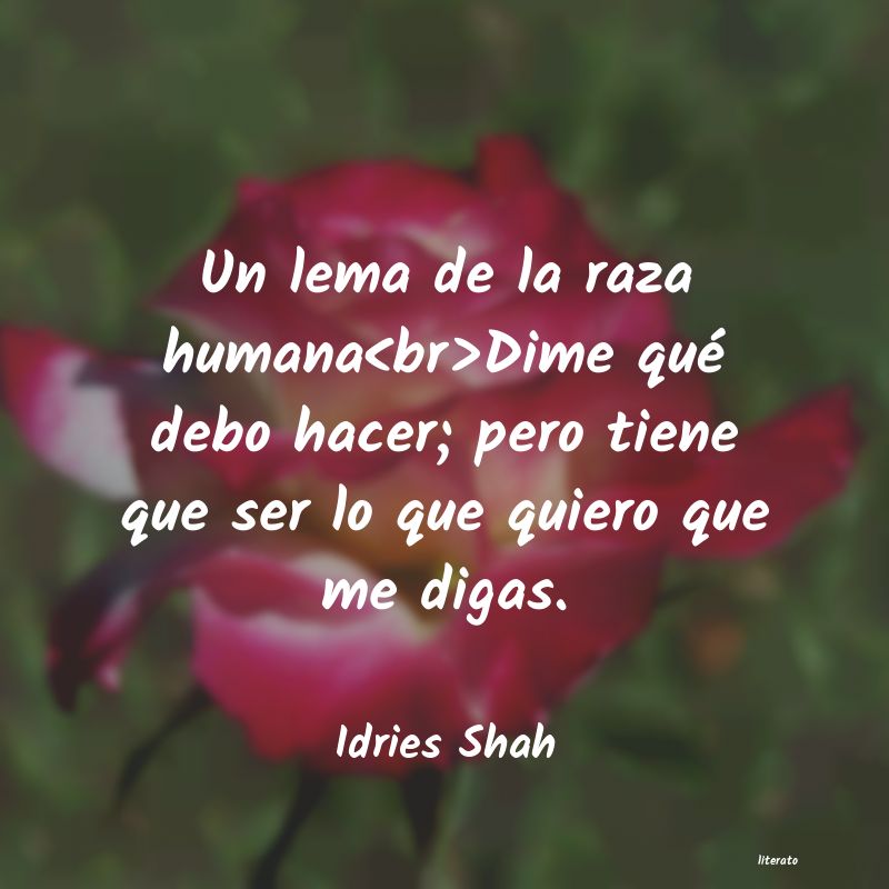 frases de Idries Shah