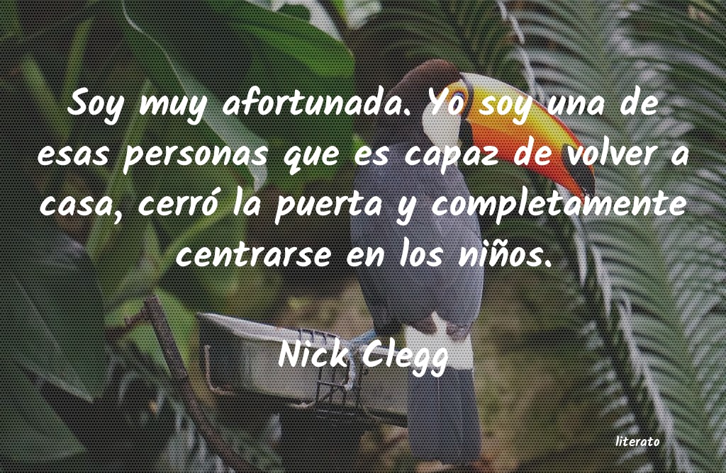 frases de Nick Clegg