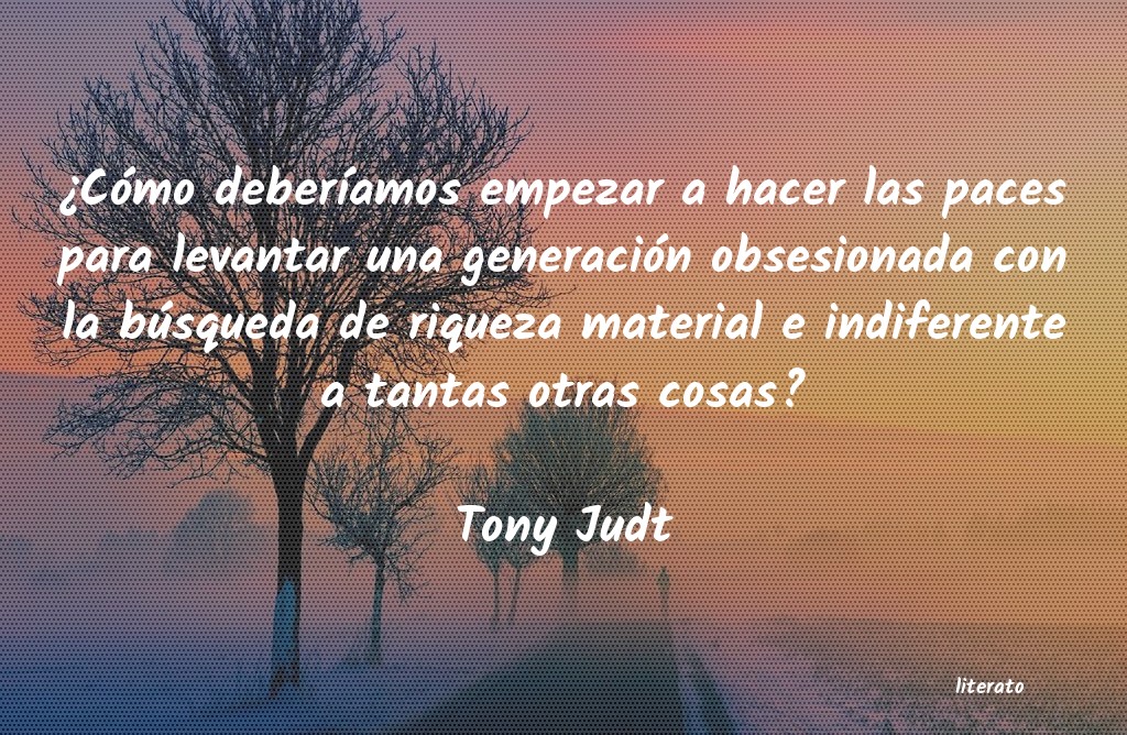 Frases de Tony Judt