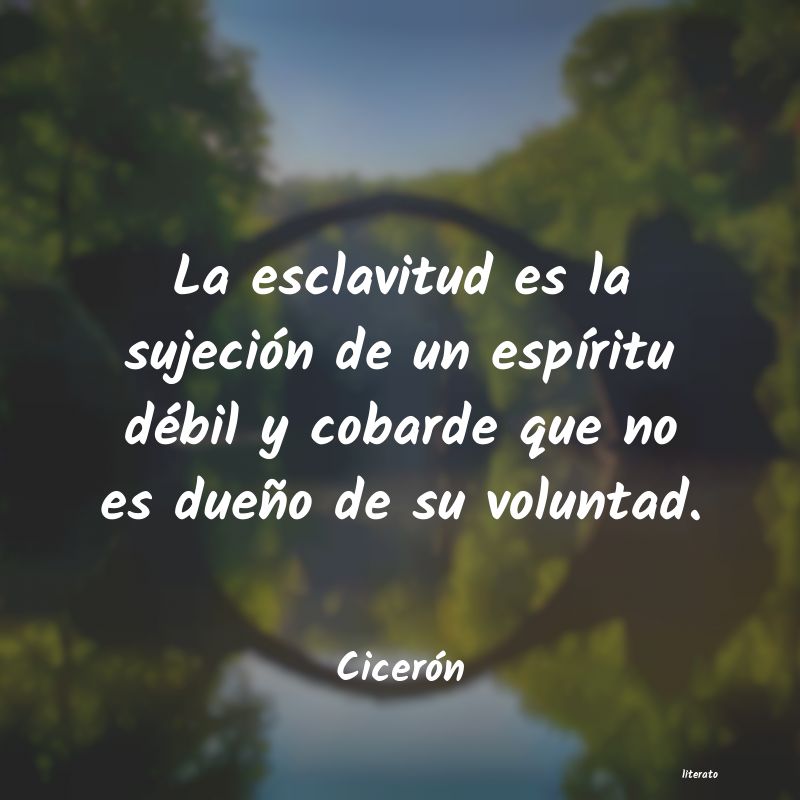 vicio ciceron
