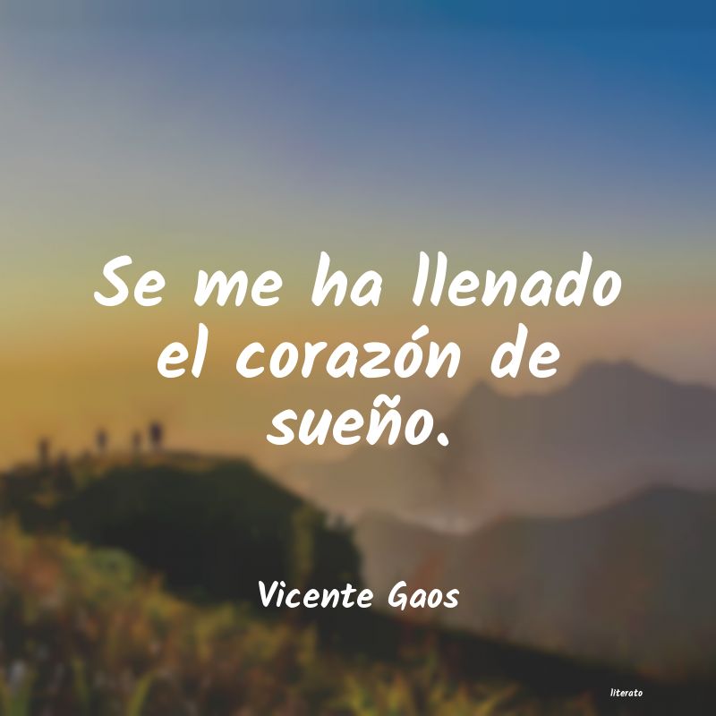 Frases de Vicente Gaos