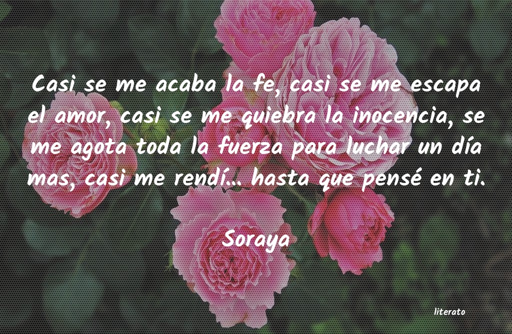 frases de amor confundido cortas