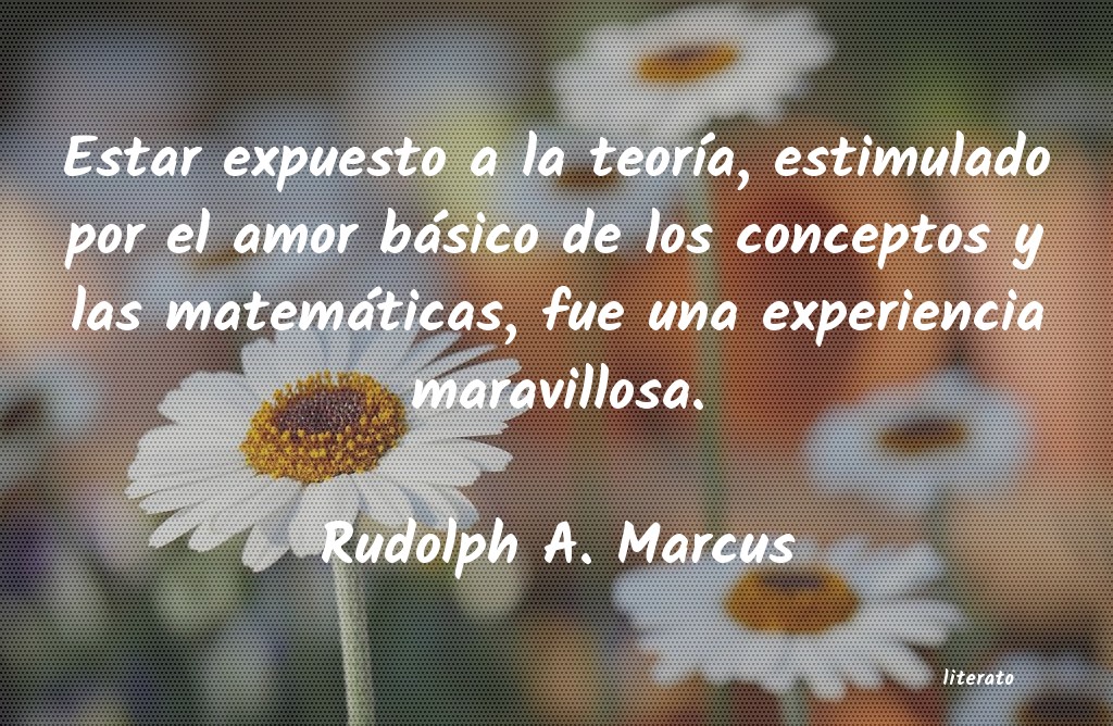 frases de Rudolph A. Marcus