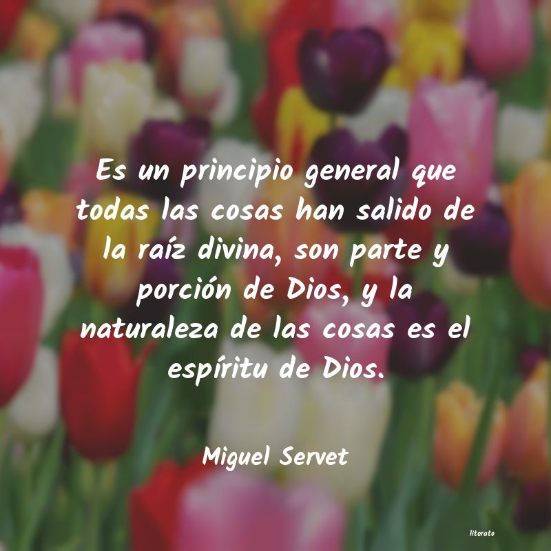 Frases de Miguel Servet