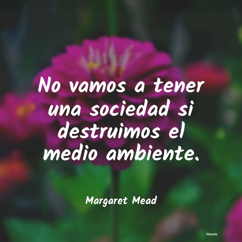 Frases de Margaret Mead