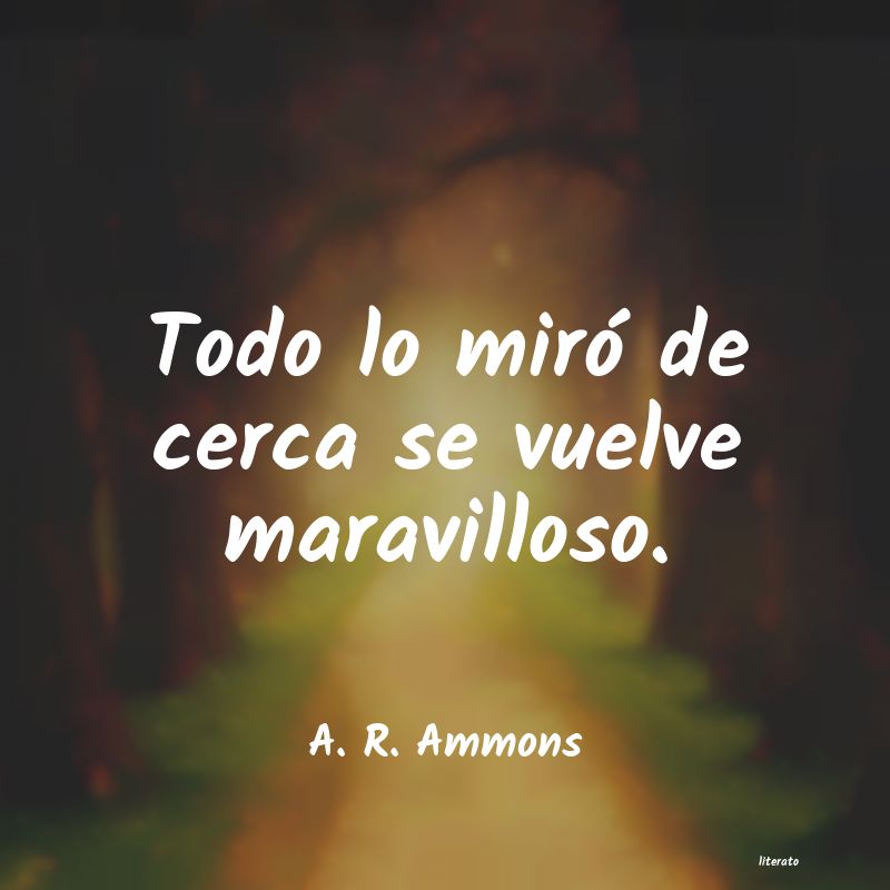 Frases de A. R. Ammons