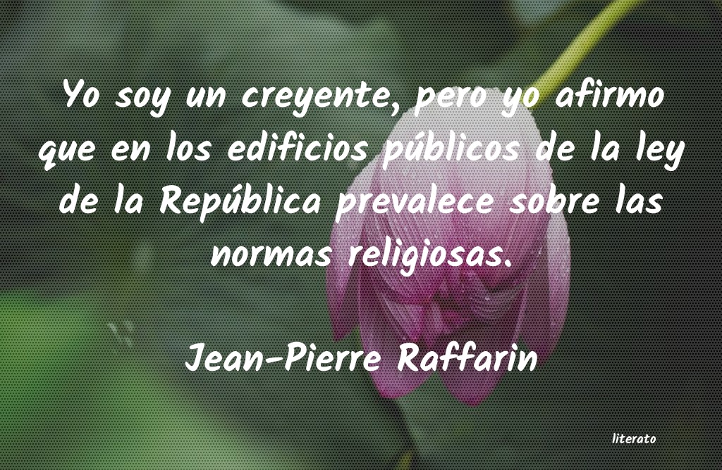 Frases de Jean-Pierre Raffarin