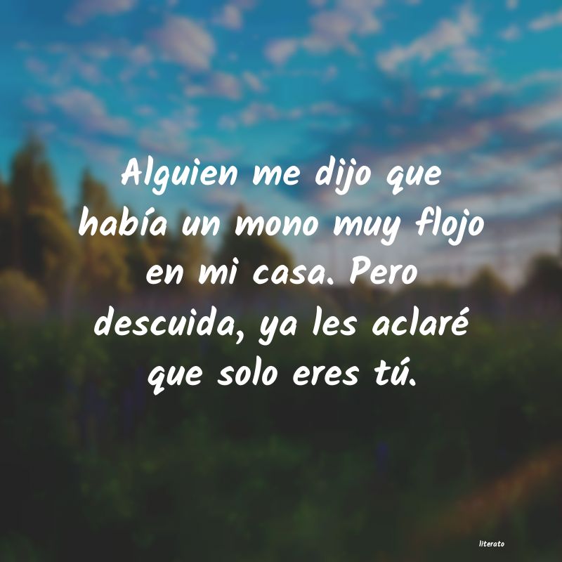 frases