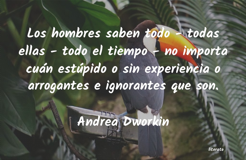 Frases de Andrea Dworkin