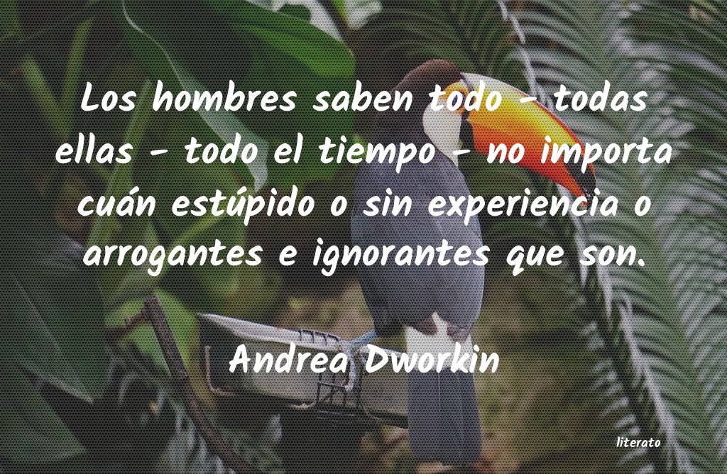 frases de Andrea Dworkin