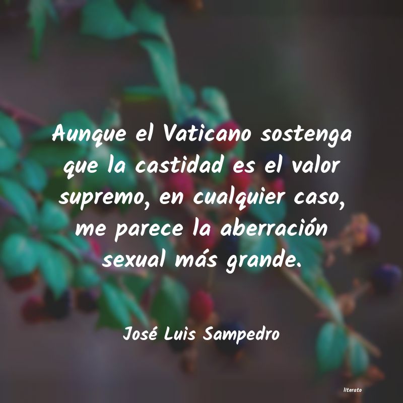 frases de José Luis Sampedro
