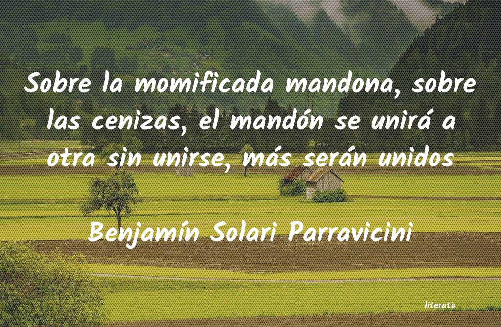 Frases de Benjamín Solari Parravicini