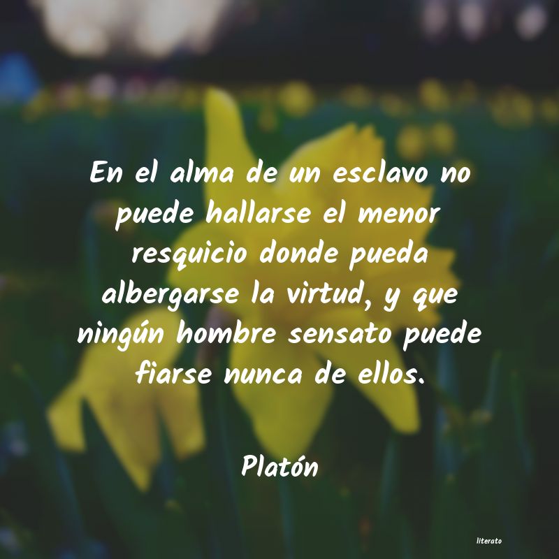 Frases de Platón