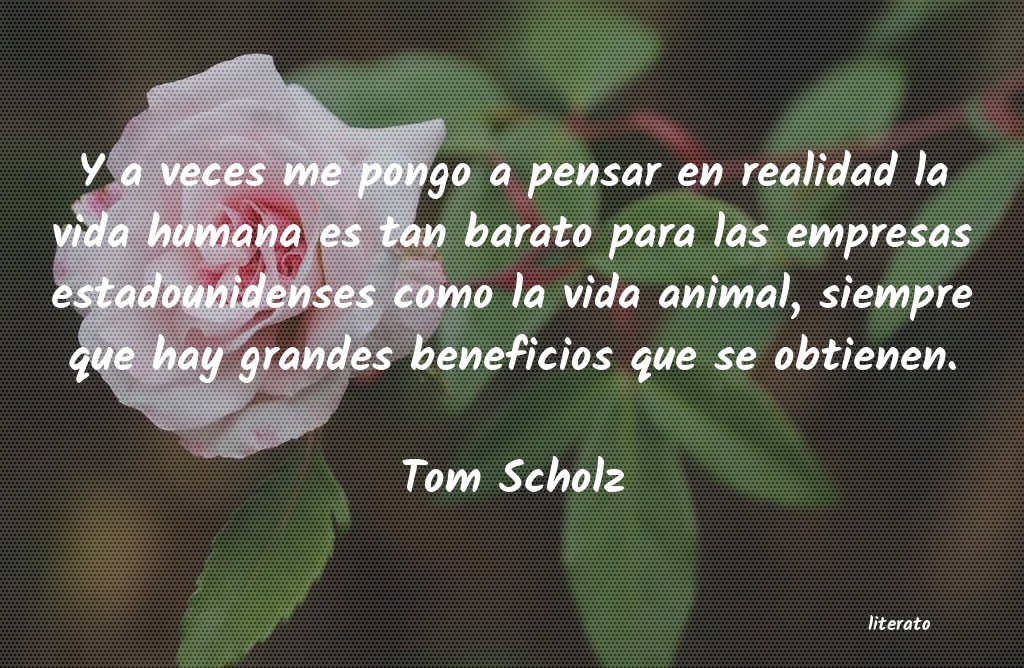 frases de Tom Scholz