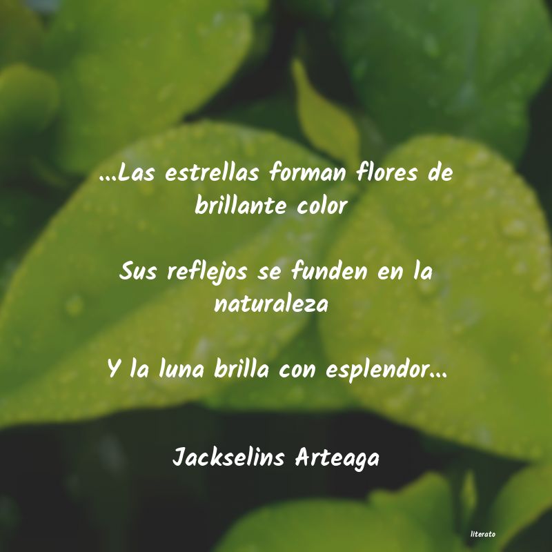 frases de Jackselins Arteaga