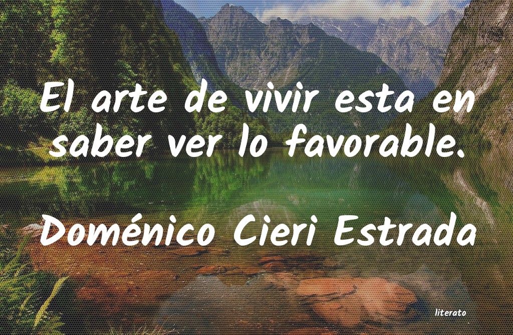 Frases de Doménico Cieri Estrada