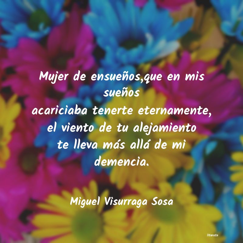 Frases de Miguel Visurraga Sosa