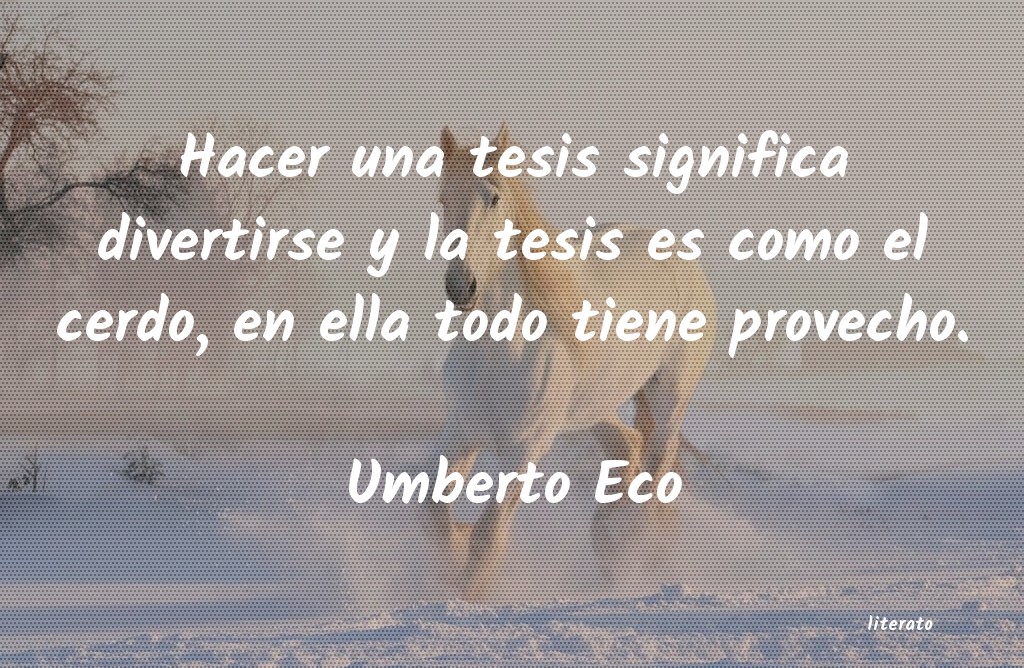 Frases de Umberto Eco