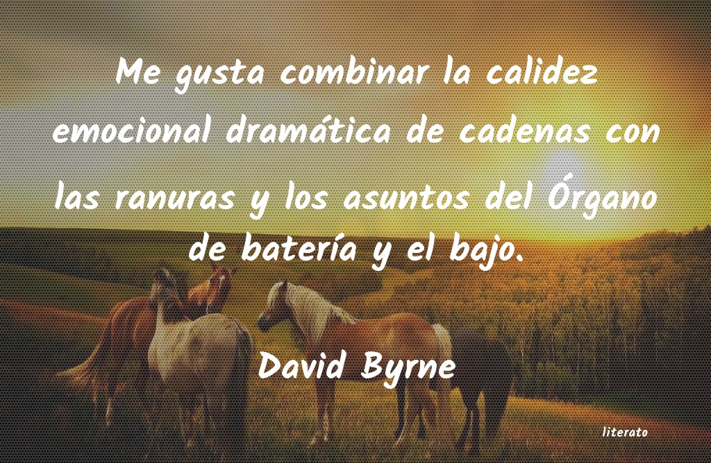 Frases de David Byrne