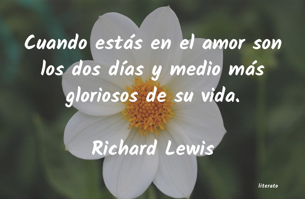 Frases de Richard Lewis