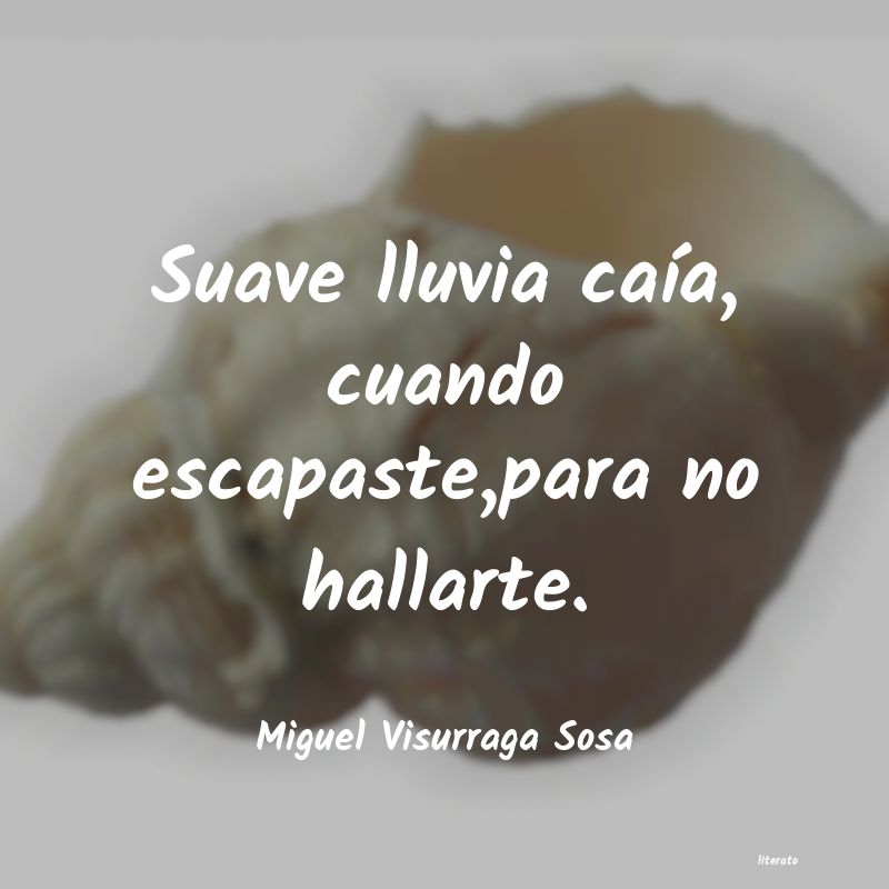 Frases de Miguel Visurraga Sosa