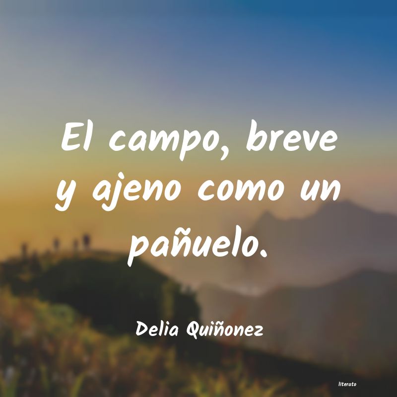 frases de Delia Quiñonez