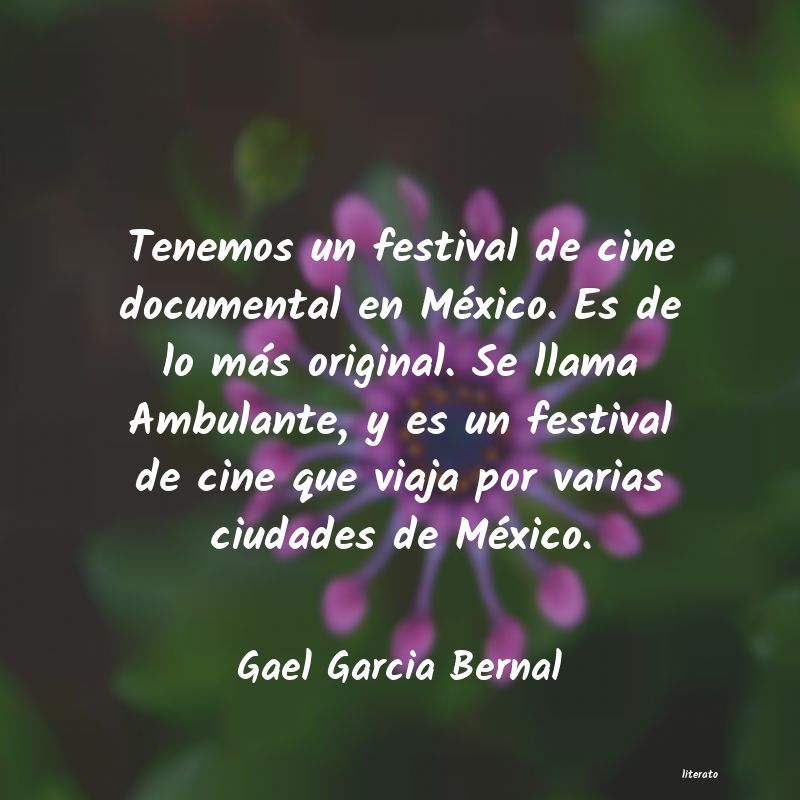 frases de Gael Garcia Bernal