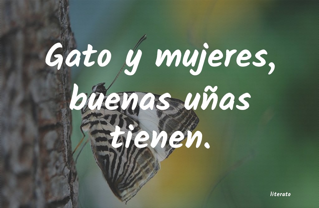 frases