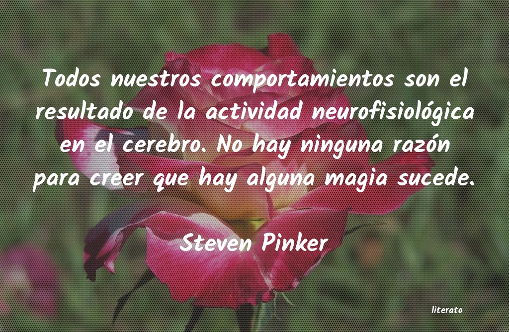 Frases de Steven Pinker