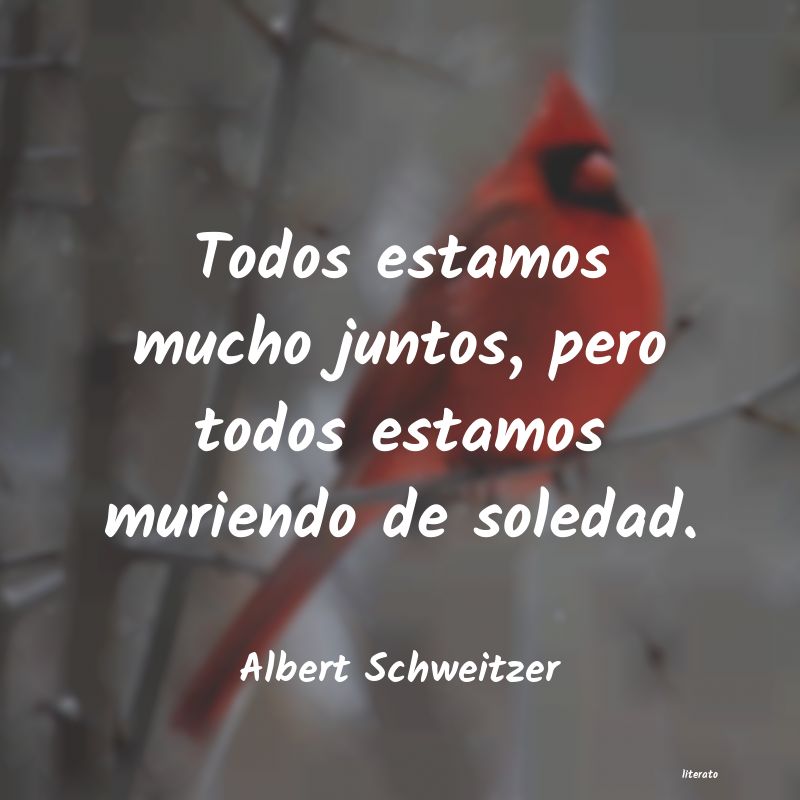 Frases de Albert Schweitzer