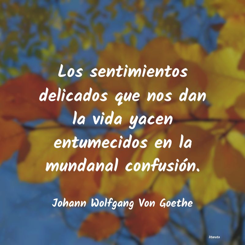 Frases de Johann Wolfgang Von Goethe