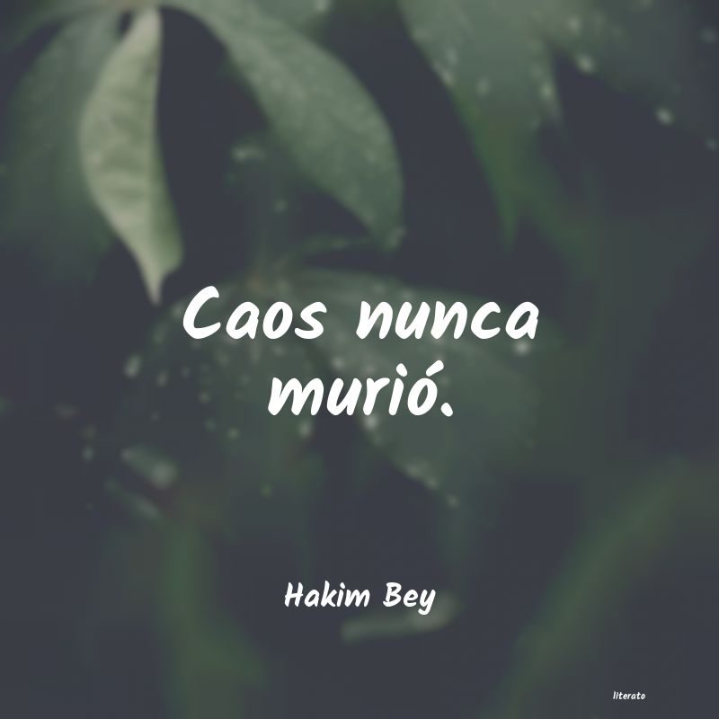 Frases de Hakim Bey