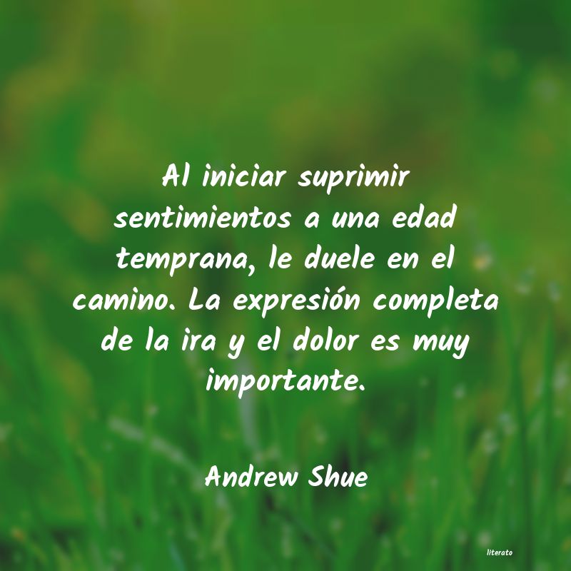 Frases de Andrew Shue