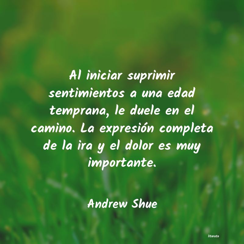 frases de Andrew Shue