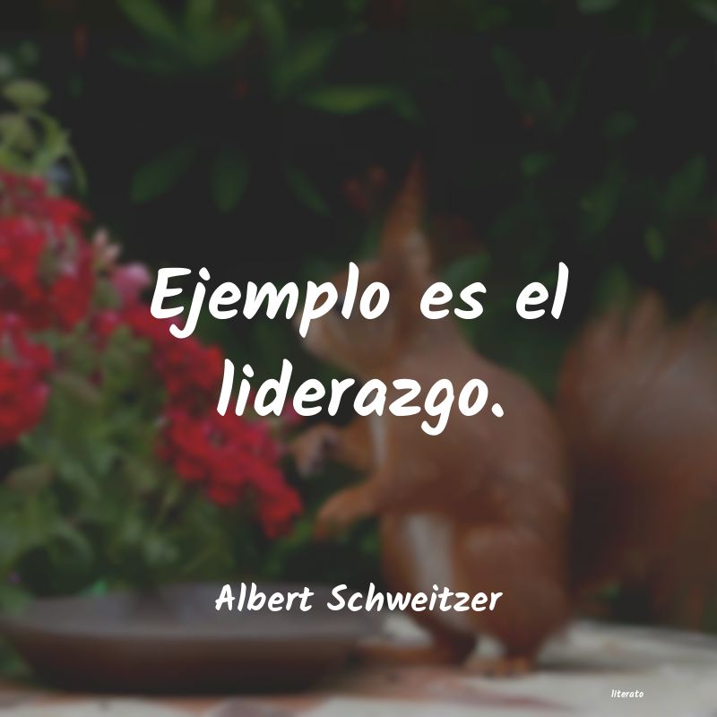 frases de Albert Schweitzer