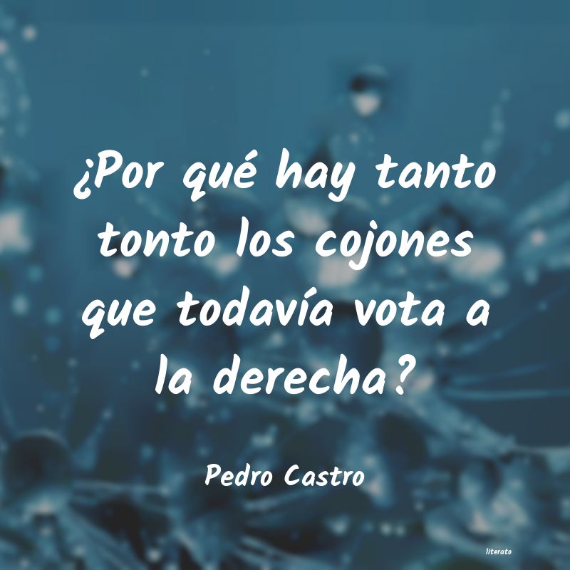 frases de Pedro Castro