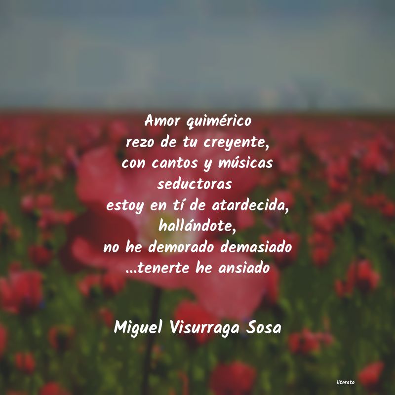 Frases de Miguel Visurraga Sosa