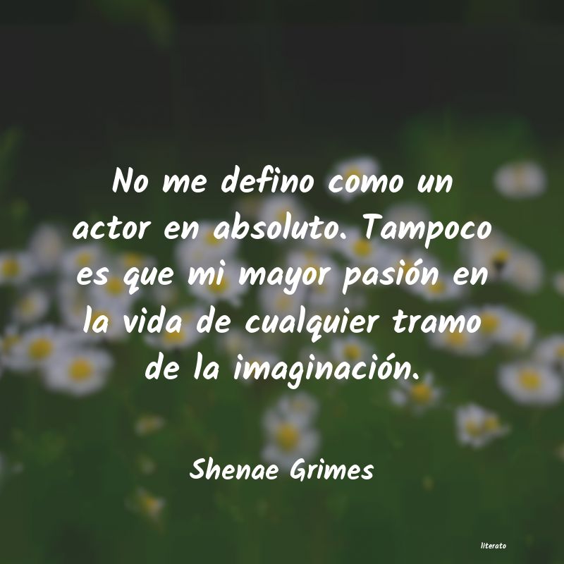 frases de Shenae Grimes