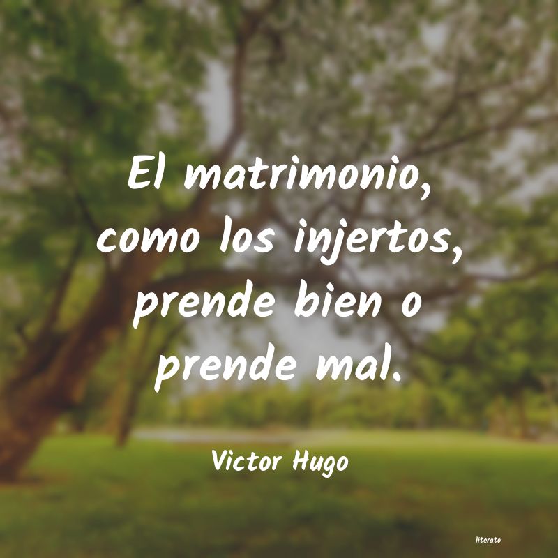 Frases de Victor Hugo