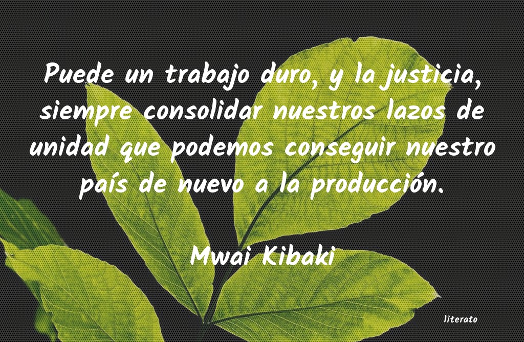 frases de Mwai Kibaki