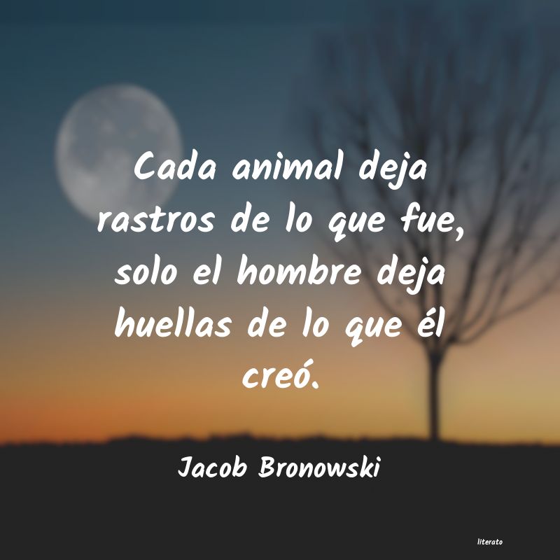 Frases de Jacob Bronowski