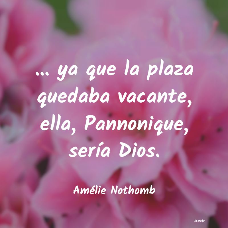 Frases de Amélie Nothomb