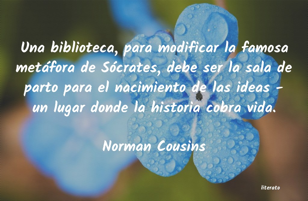 frases de Norman Cousins