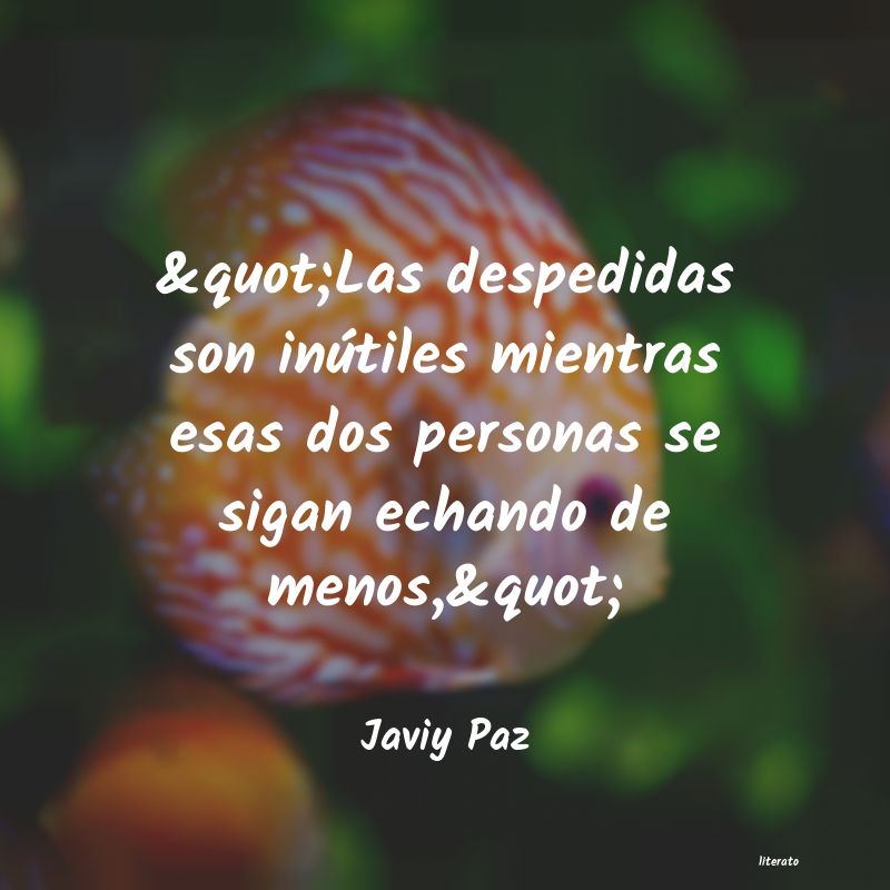 Frases de Javiy Paz