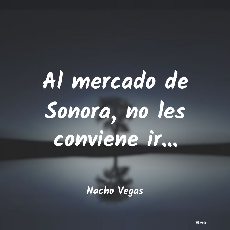 Frases de Nacho Vegas