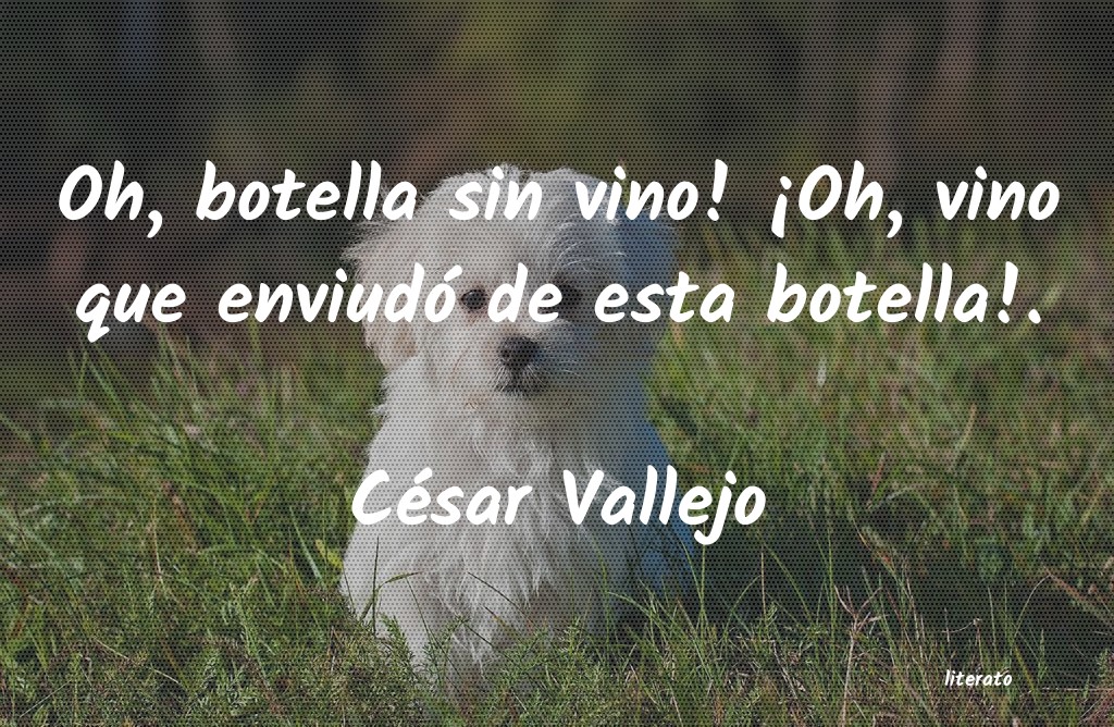 Frases de César Vallejo